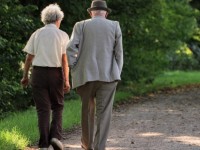 an cay co the lam tang nguy co mat tri nho