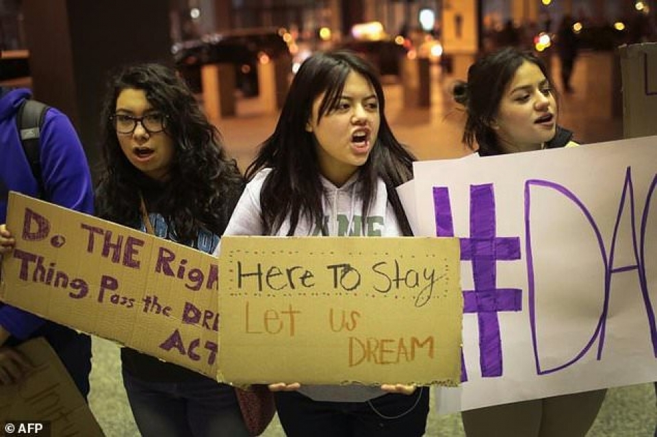 my cac tap doan hang dau keu goi quoc hoi bao ve the he dreamer