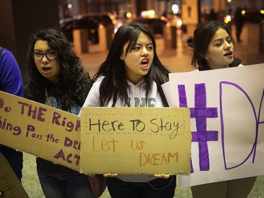 my cac tap doan hang dau keu goi quoc hoi dinh doat so phan cho cac dreamer