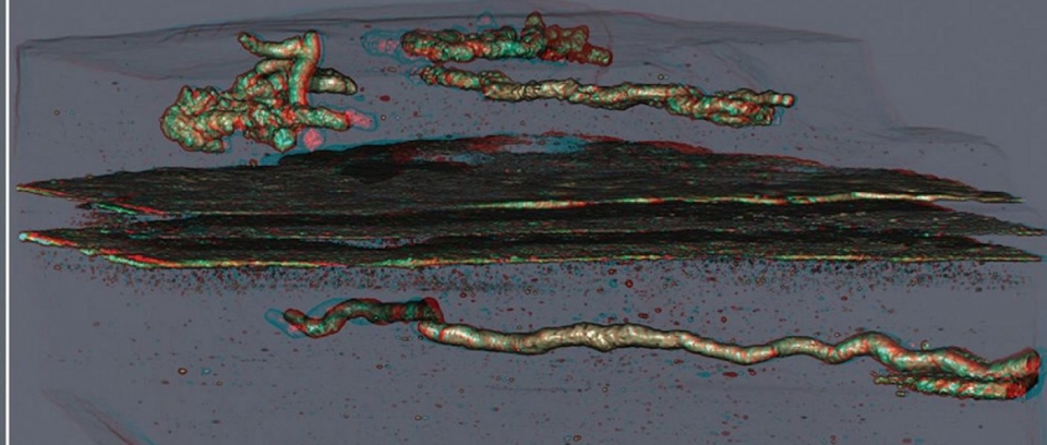 da co sinh vat di chuyen tren trai dat cach day hon 2 ty nam