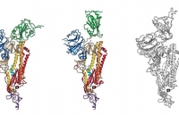 ngu gat giua mua dich covid 19 van kiem ca tram trieu dong