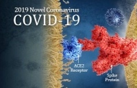 cap nhat 14h ngay 252 viet nam kiem soat tot dich benh iran them 2 ca tu vong tong thong trump de nghi chi tien doi pho covid 19