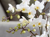 tin nhap 20190203074132