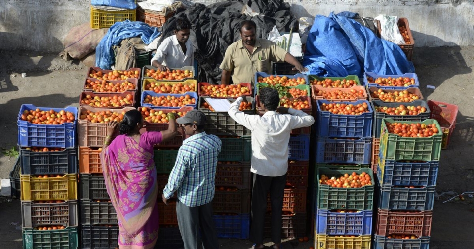 WB: Kinh tế Ấn Độ tăng trưởng 7,3% trong tài khóa 2019 wb kinh te an do tang truong 73 trong tai khoa 2019