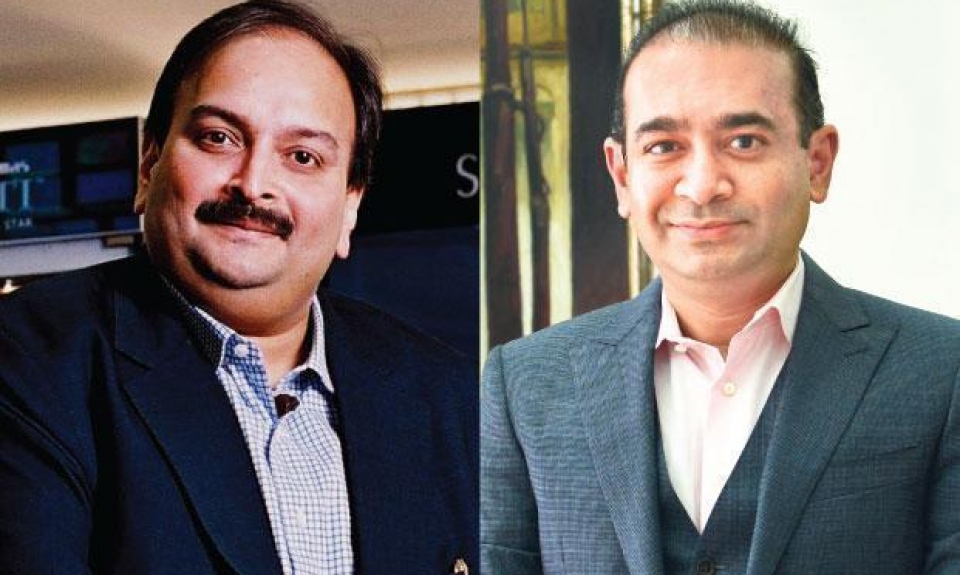 an do de nghi interpol phat lenh bat giu ty phu lua dao