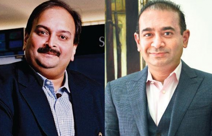 an do de nghi interpol phat lenh bat giu ty phu lua dao