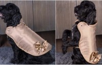 co gai hen ho 200 nguoi dan ong trong von ven 2 nam