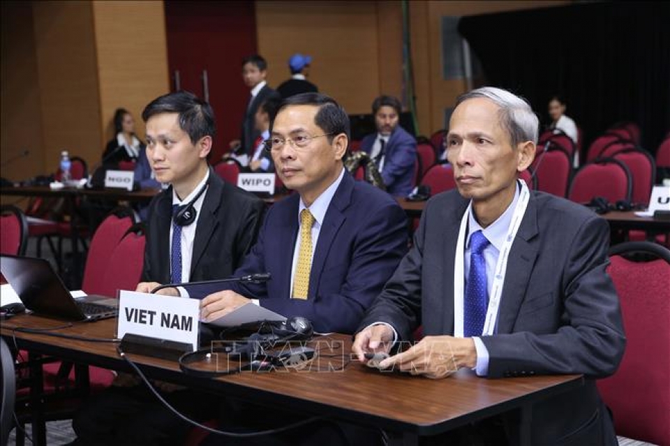 thu truong bui thanh son hop tac nam nam can tang cuong doan ket vi loi ich chung cua cac nuoc dang phat trien