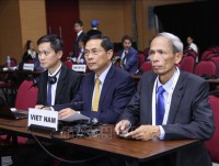 hu truong thuong truc bui thanh son tiep doan ige