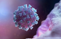 dai su quan viet nam tai italy thong tin tinh hinh dich covid 19 den 18h ngay 63