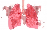 cap nhat 15h ngay 63 campuchia cach ly 44 nguoi who keu goi cac nuoc hoc tap viet nam trung quoc singapore chong dich covid 19