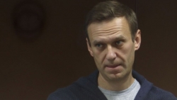 Vụ Navalny: Phe luật sư bào chữa tung toàn bộ phán quyết của Tòa án Nga phản pháo lời Tổng thống Putin