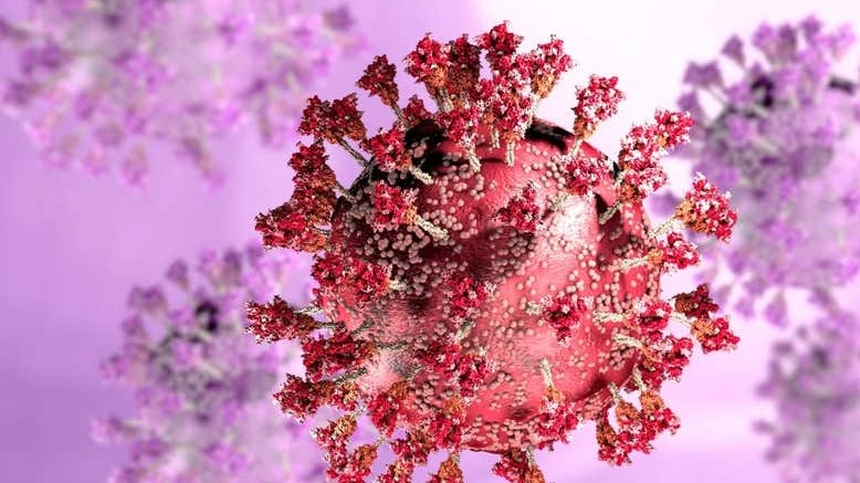 who so ca tu vong vi covid19 tren toan cau giam con qua som de tuyen bo ket thuc dai dich