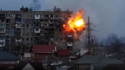 Xung đột Nga-Ukraine: Chuẩn bị đàm phán trực tuyến, Ủy ban chữ thập đỏ quốc tế cảnh báo 'kịch bản tồi tệ'