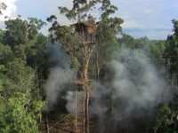 dau cham het duoc bao truoc cho su thong tri cua hang netflix