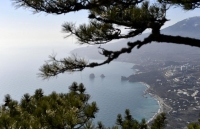 ukraine giai giap cac nhom vu trang cuu huu tai donbass