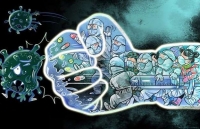 truyen thong my tim cach giai ma su thanh cong chong dich covid 19 cua viet nam