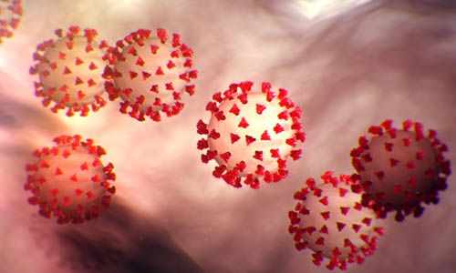 dich covid 19 so ca nhiem tai nga ukraine co xu huong tang manh chuyen gia danh gia ve kha nang dot biet cua virus