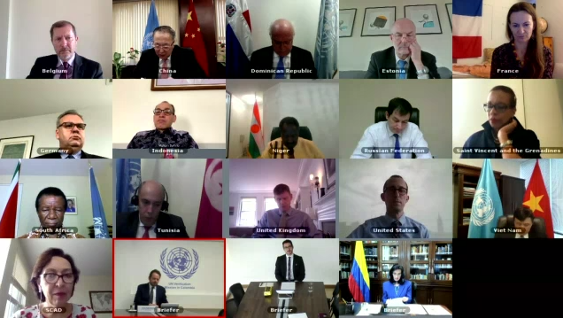 hoi dong bao an thao luan truc tuyen ve hoat dong cua phai bo lhq giam sat thuc thi thoa thuan hoa binh tai colombia