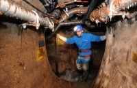 tong giam doc who noi long han che la khoi dau giai doan tiep theo trong cuoc chien chong covid 19