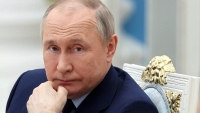 Xung đột Ukraine: Tổng thống Nga ra quyết định bất ngờ ở Mariupol