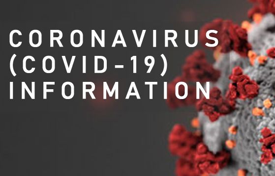 Cập nhật 7h ngày 7/5: Số ca Covid-19 vượt 3,8 triệu, 30.000 ca tử vong ở Anh