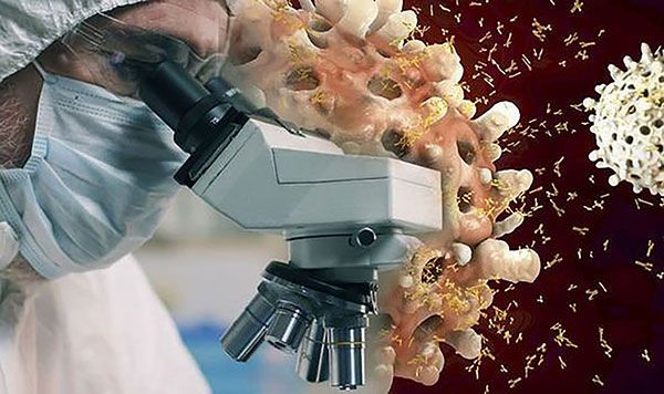 moi nghien cuu mo ra hy vong ve kha nang phat trien he mien dich bao ve khoi covid 19