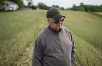 Covid-19 và căng thẳng thương mại với Trung Quốc: Cú đòn kép giáng vào nông dân Mỹ