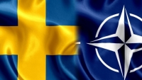 Khi nào Thụy Điển công bố lập trường về việc gia nhập NATO?