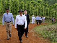 dong cua rung quyet dinh hop long dan