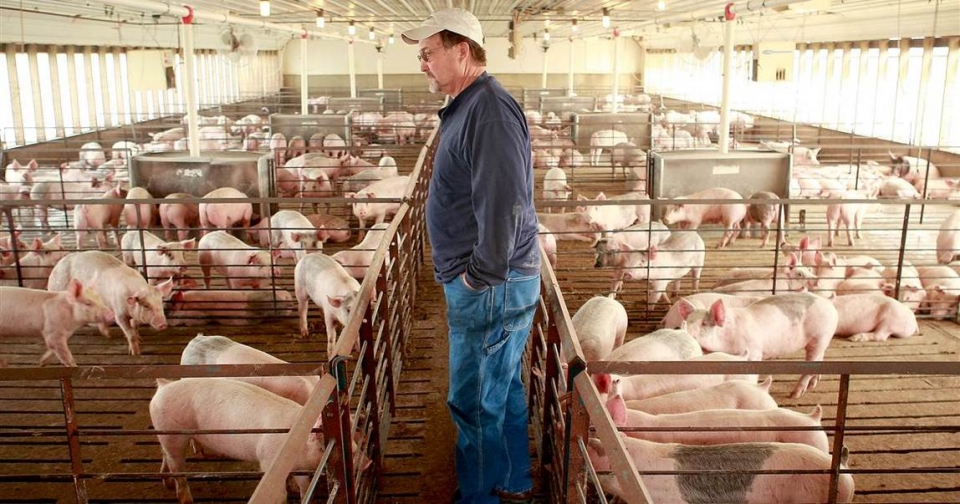 mexico tang cuong nhap khau tu eu sau khi ap thue dap tra my