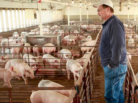 mexico tang cuong nhap khau tu eu sau khi ap thue dap tra my