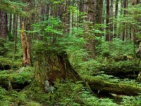 tong bi thu nguyen phu trong tiep ngoai truong hoa ky mike pompeo