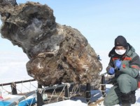 nga se dap tra dong thai gay cang thang cua na uy tai bac cuc