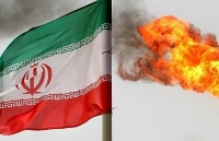 my voi hoa binh trung dong co dam an xoi