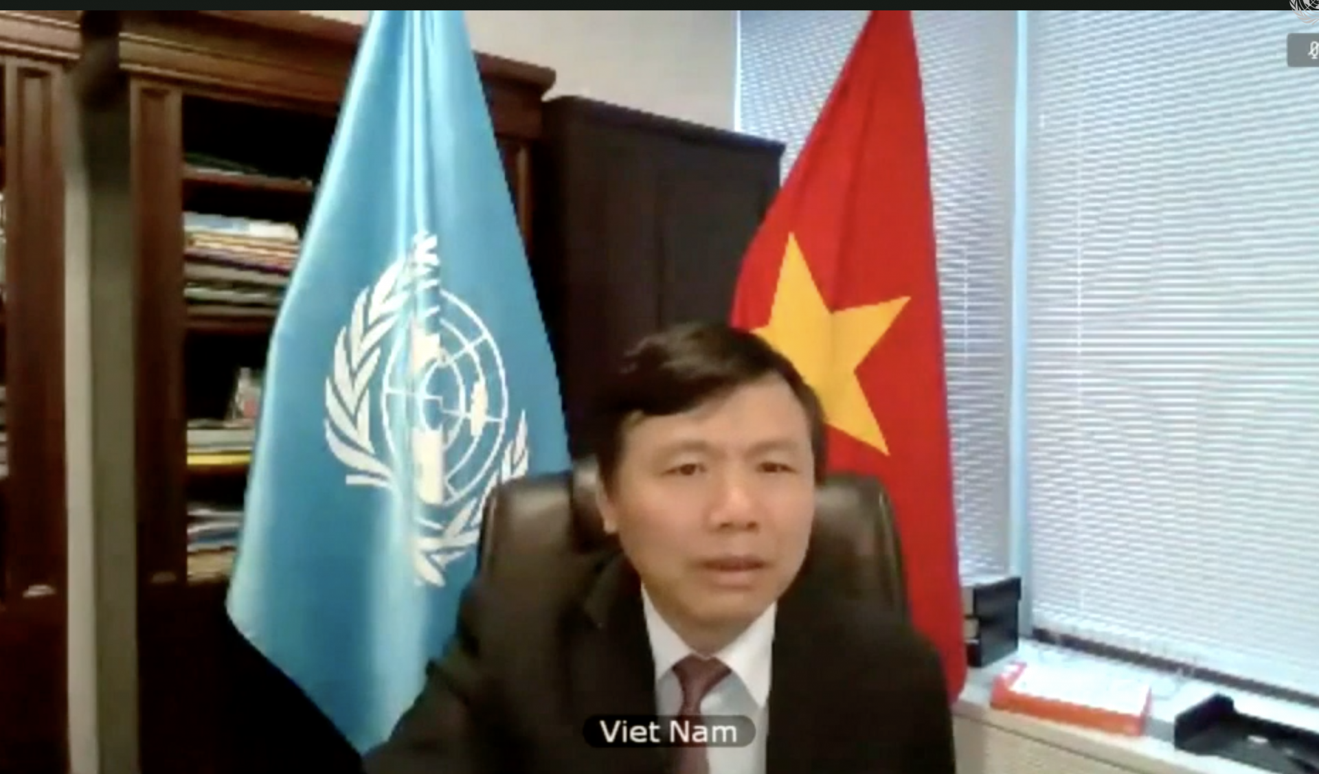 hoi dong bao an thao luan truc tuyen ve hoa binh va an ninh tai chau phi