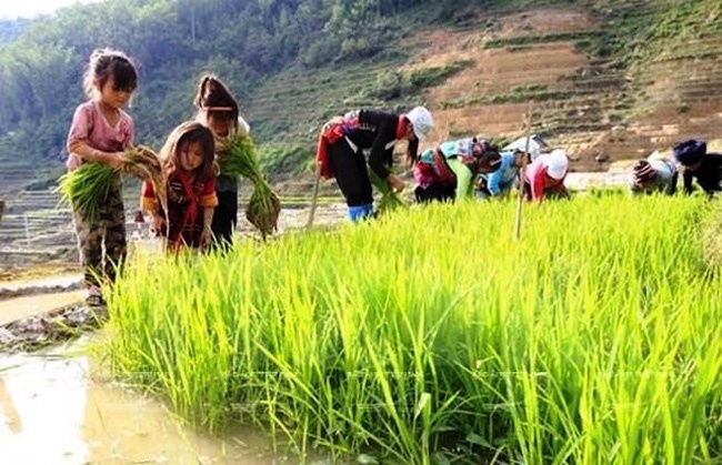 phong chong lao dong tre em o viet nam cam ket di cung hanh dong vung tin vuot chuong ngai covid 19