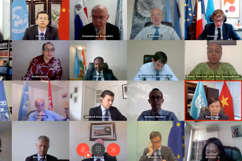 Hội đồng Bảo an trao đổi với Bộ trưởng Ngoại giao Cộng hòa Trung Phi