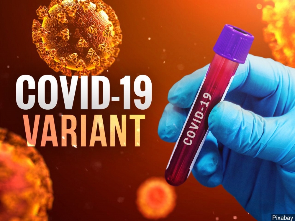 WHO: Việt Nam không xuất hiện biến thể lai tạo nào mới. (Nguồn: Pixabay)