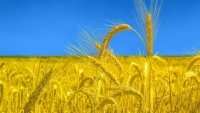 Nga-Ukraine sắp có hành động quan trọng dưới sự trung gian của Thổ Nhĩ Kỳ và LHQ, vấn đề ngũ cốc sẽ được giải quyết?
