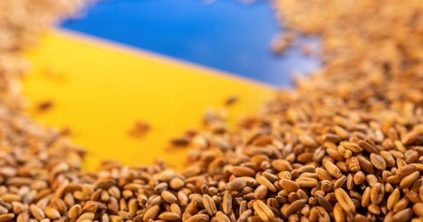 Nga thanh minh về cáo buộc đánh cắp ngũ cốc Ukraine, khẳng định mình là nhà cung cấp khí đốt 'đáng tin cậy'. (Nguồn: Reuters)