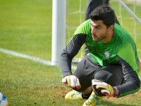 per mertesacker co the nghi het nam 2016