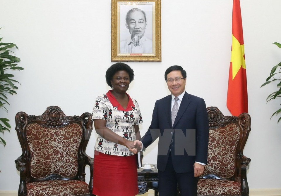 ngan hang the gioi cam ket dong hanh hop tac voi viet nam