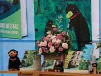Ra mắt sách chăm sóc và bảo vệ gấu ở Việt Nam