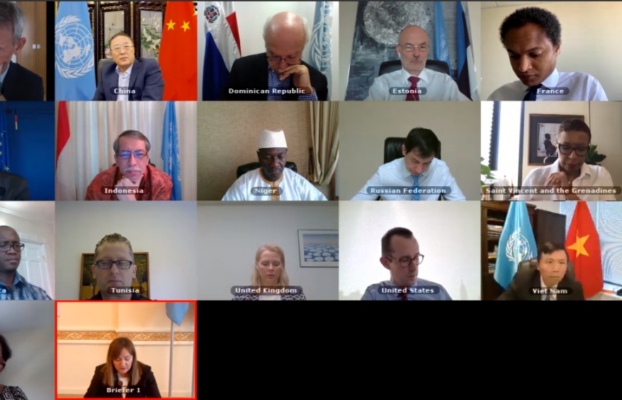 Hội đồng Bảo an thảo luận về hoạt động của Trung tâm Ngoại giao Phòng ngừa của LHQ tại Trung Á