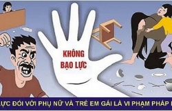 Công bố báo cáo điều tra quốc gia về bạo lực với phụ nữ