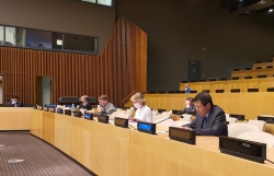 Hội đồng Bảo an họp về tình hình Yemen