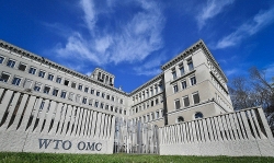 WTO - 'Ngọn hải đăng' trong thế giới phân mảnh đang cần được tiếp lửa