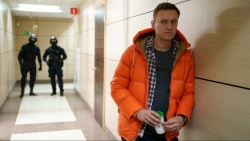Nga 'dọn dẹp' các trang web dính líu nhân vật đối lập, ông Navalny vội hiệu triệu người ủng hộ