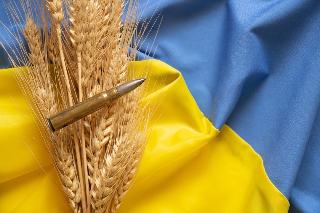 Nga chỉ điểm tuyến đường 'giải cứu' ngũ cốc Ukraine. (Nguồn: Adobe Stock)